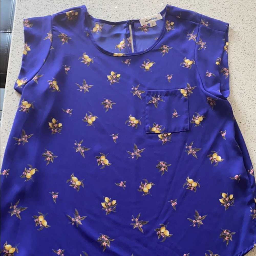 Alice Blue Top Size XL